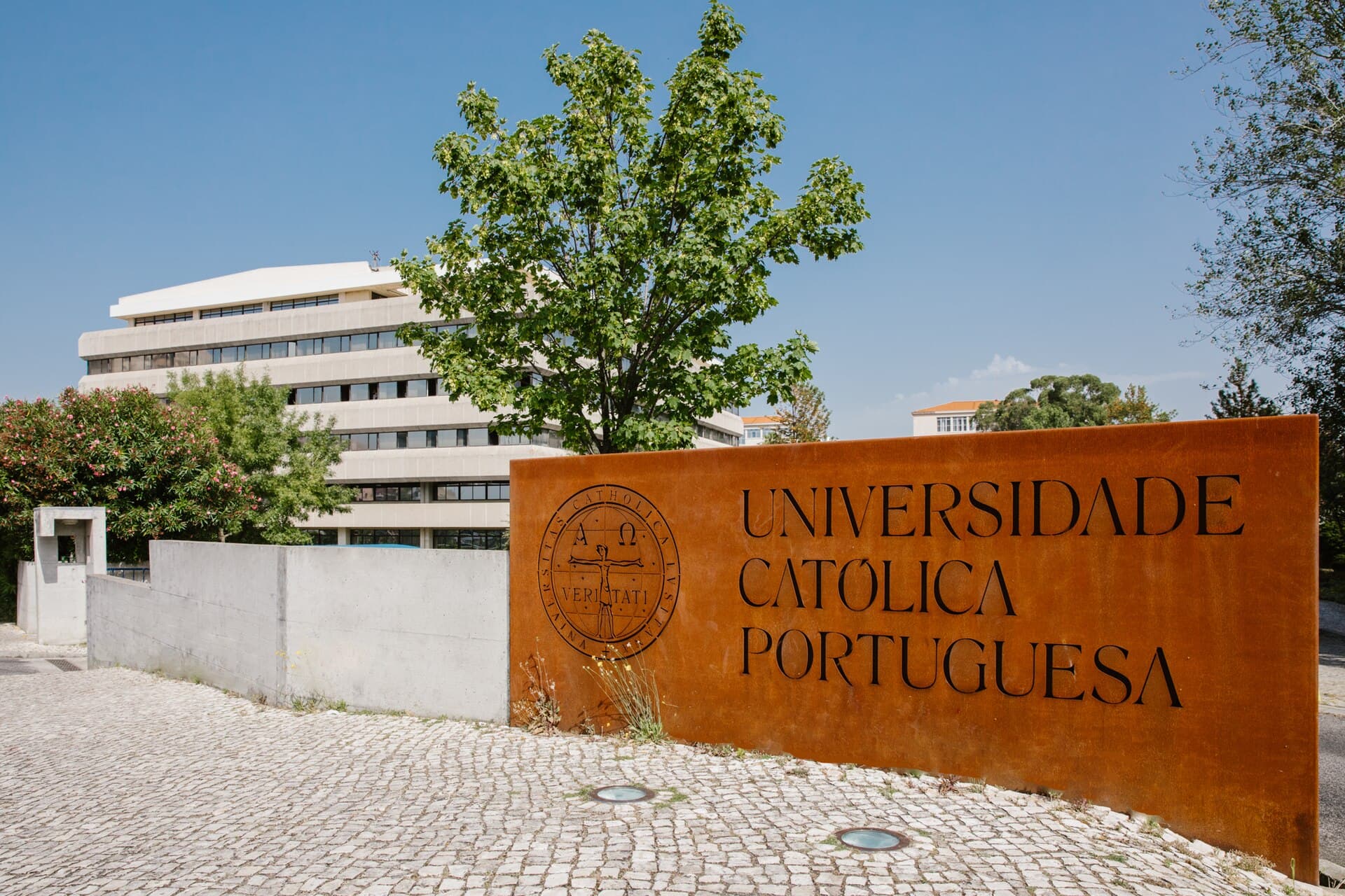 CCTF · UCP Porto